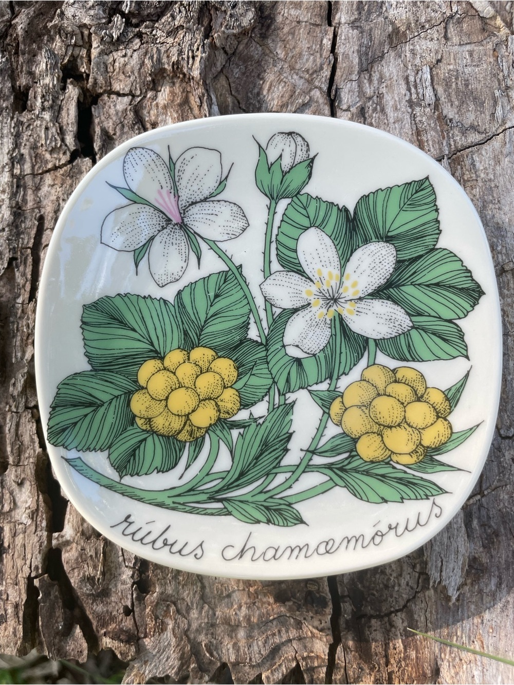 Arabia Finland Botanical Floral Trinket Dish - Picture 3 of 12
